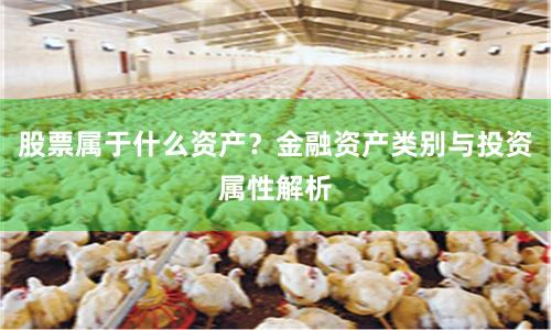 股票属于什么资产？金融资产类别与投资属性解析