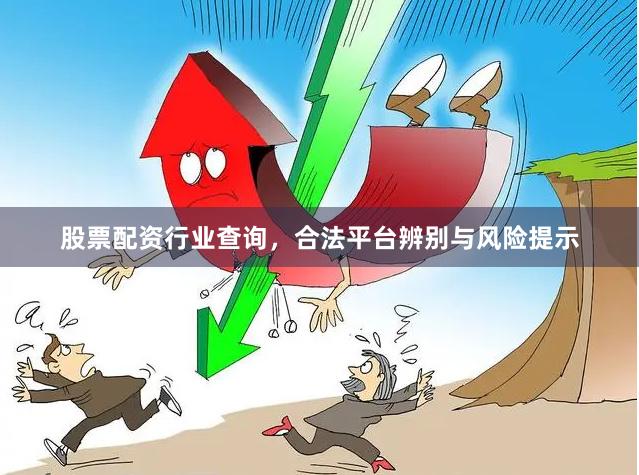 股票配资行业查询，合法平台辨别与风险提示
